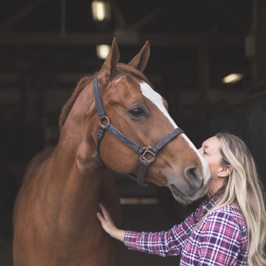 A woman caring for a retired racehorse